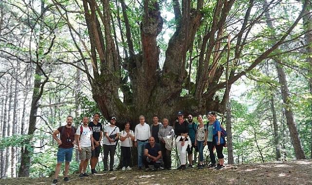 Efeler Yolu Projesine Uluslararası Ödül