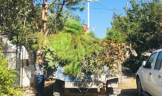 Didim'de Mahalle ve Köylerde Çalışmalar Sürüyor