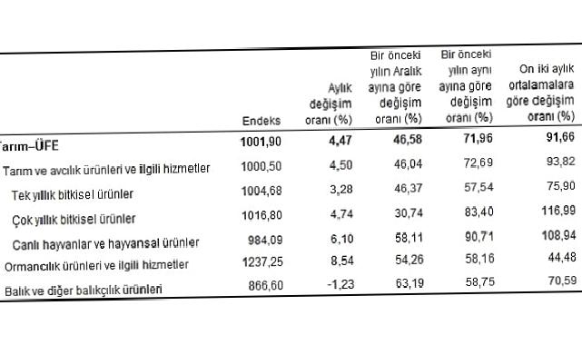 Tarım ürünleri üretici fiyat endeksi (Tarım-ÜFE) yıllık yüzde 71,96, aylık yüzde 4,47 arttı