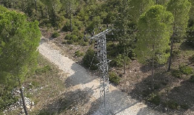 Toroslar EDAŞ'tan Orman Yangını Riskine Karşı Yeni Tedbir