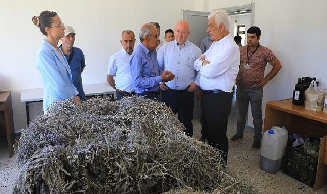 Muğla'da Büyükşehir Belediyesi'nin Tarımsal Güçbirliği Projesi Üreticiye Kazandırıyor