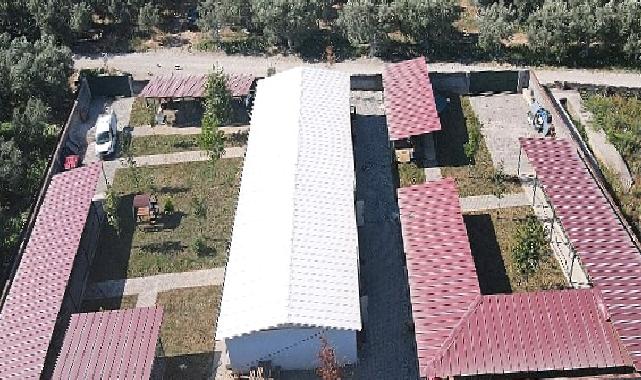 İznik Belediyesi'nden sokak hayvanlarına tam teşekküllü merkez