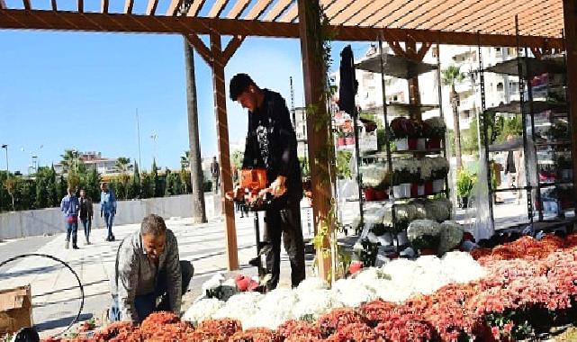 Karabağlar belediyesi 100 Yıl Uğur Mumcu Parkı kasımpatlarıyla renklendi