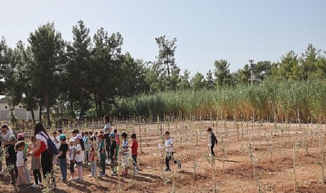 Büyükşehir Belediyesi 100. Yıl Hatıra Ormanı oluşturdu