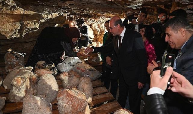 Peynir Tulumundan İlk Hasat Programı Gerçekleştirildi