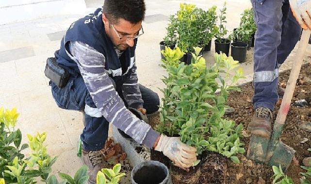 Büyükşehir'den Ulaşlı Camii'ne estetik meydan