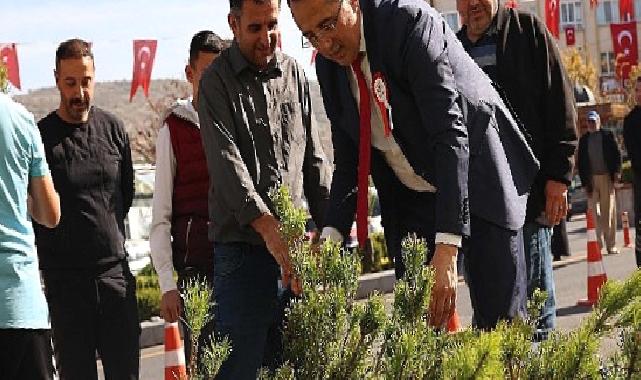 Cumhuriyet'in 100. Yılında 100 bin fidan dağıtıldı