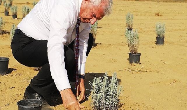 Ödemiş Belediyesi'nden "Tıbbi-Aromatik Bitki Bahçesi" hamlesi