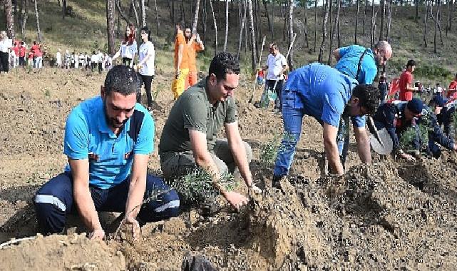 Cumhuriyet'in 100'ncü yılında 1923 fidan dikildi