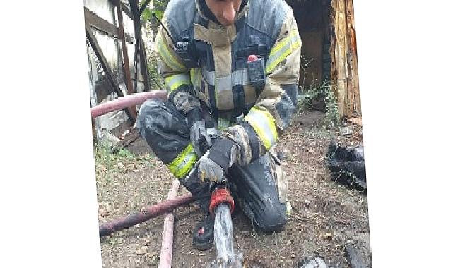 Yangından kurtarıldı suyla soğutuldu doğaya salındı