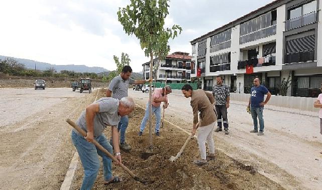 Başkan Ceritoğlu sengel saha çalışmalarını yerinde inceledi