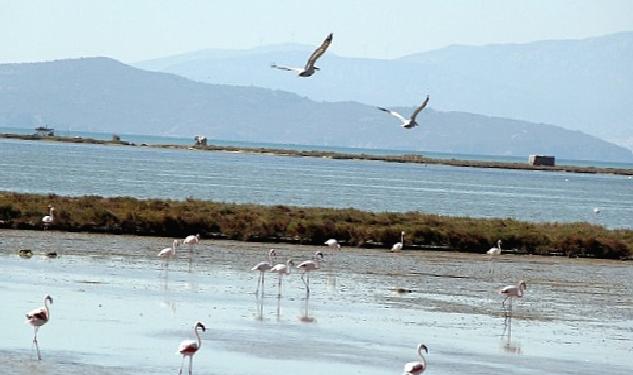 Kuş Cenneti'ne anjiyo: 40 km yatak temizlenecek