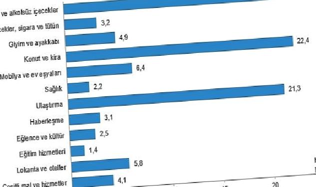 Hanehalkı bütçesinden en fazla pay gıda ve alkolsüz içecek harcamasına ayrıldı