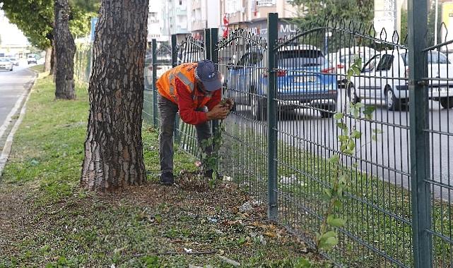 Büyükşehir'den Evliya Çelebi Caddesi'nde refüj çalışması