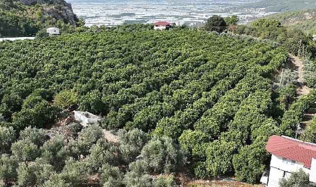 Kumlucalı üreticiler kapalı devre sulama tesisinden memnun