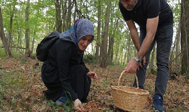 Kocaeli'nde Ormanya'da mantar avı düzenlendi