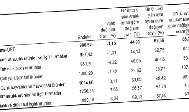 Tarım ürünleri üretici fiyat endeksi (Tarım-ÜFE) yıllık yüzde 62,56 arttı, aylık yüzde 1,13 azaldı