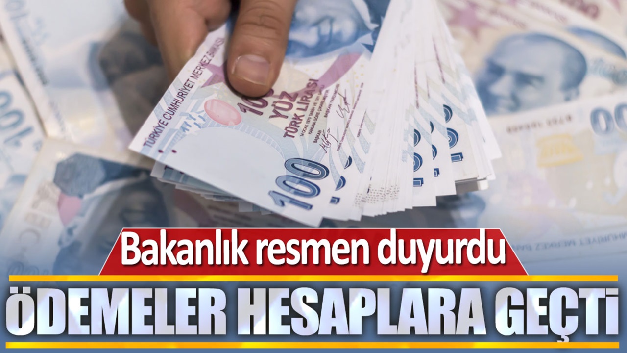 Bakanlık az önce duyurdu: Destekler hesaplara yatırıldı! Hemen kontrol edin