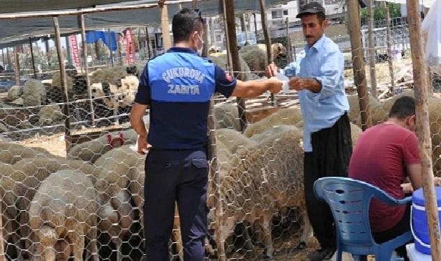 Çukurova kurban satış yerleri