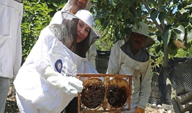 Antalya Büyükşehir kursiyerleri kovan başında arıcılık eğitimi aldı