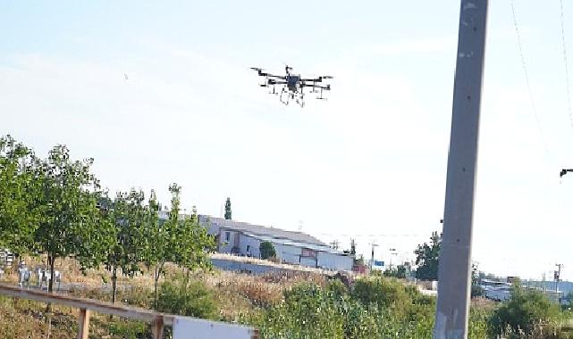 Ayvalık'ta dronların hedefinde sinekler var