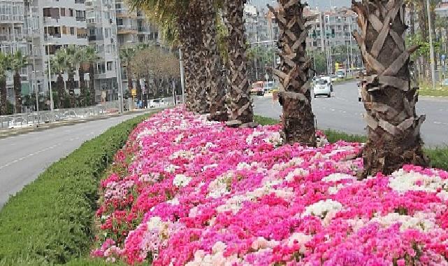 İzmir çiçek açtı