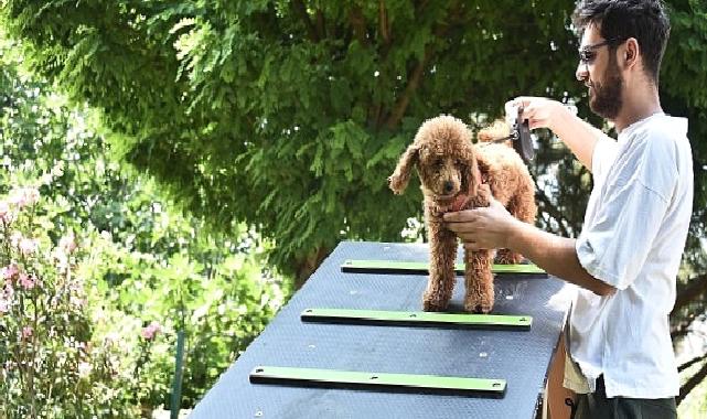 Kemalpaşa Belediyesi can dostlar için ilçenin ilk köpek parkını kurdu