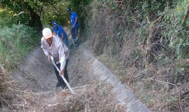 Muğla Büyükşehir'den Muğla Tarımına Destek