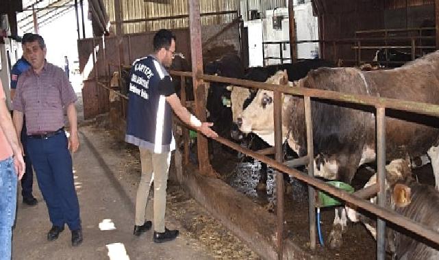 Kartepe'de kurban satışını sıkı denetim 