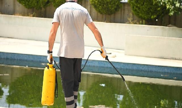 beylikdüzü'nde ilaçlama çalışmaları sürüyor