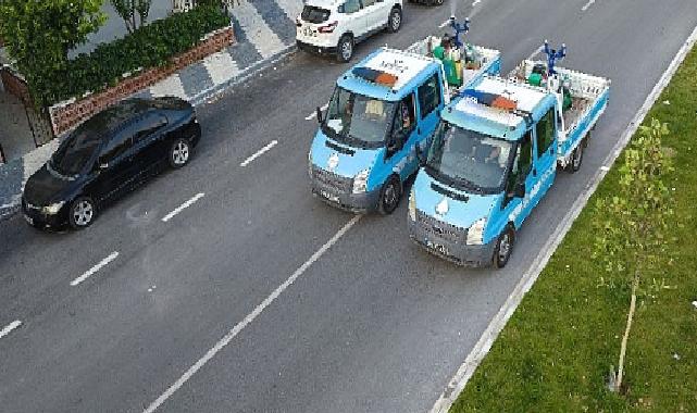 Buca'da sivrisineklere karşı ilaçlama başladı