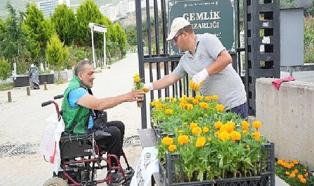 Mezarlıklarda çiçekler Gemlik Belediyesi'nden