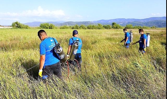 Büyükşehir Vektörle Mücadelede Tüm Birimleri ile Sahada