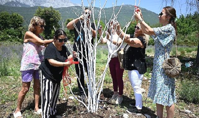 Kemer'de "Mor turizm" başlıyor