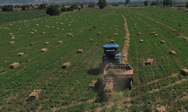 434 Dekar Araziden Elde Edilen Kaba Yem Üreticiye Dağıtılacak