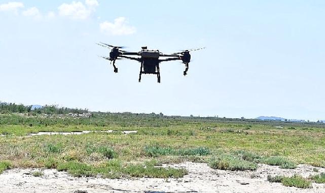 İzmir'de sivrisinek ile dronlu mücadele