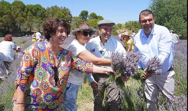 Seferihisar'da mis kokulu festival