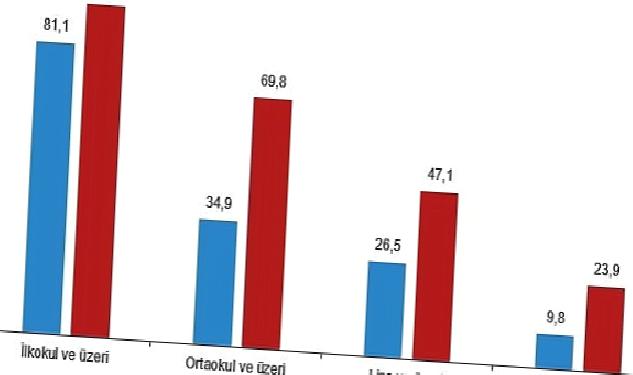 Ulusal Eğitim İstatistikleri, 2022