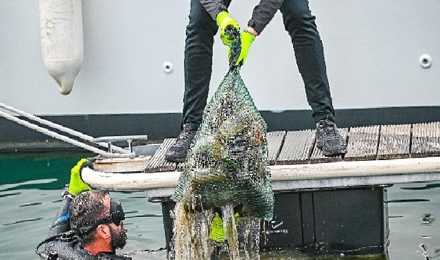 D-Marin tüm marinalarında Çevre Farkındalık Günlerini kutladı