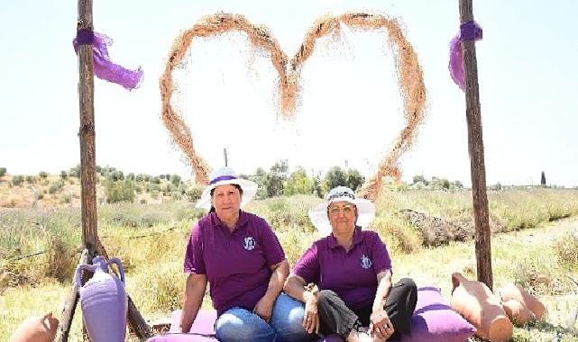 Didim'in Mis Kokulu Lavanta Festivaline sayılı günler kaldı