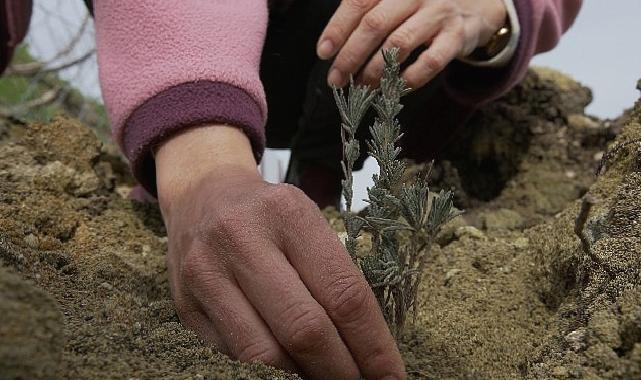 TOÇEV, Payam Ekolojik Badem Köyü Projesi'ne destek bekliyor