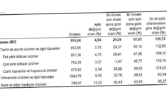 Tarım ürünleri üretici fiyat endeksi (Tarım-ÜFE) yıllık yüzde 57,93, aylık yüzde 4,04 arttı