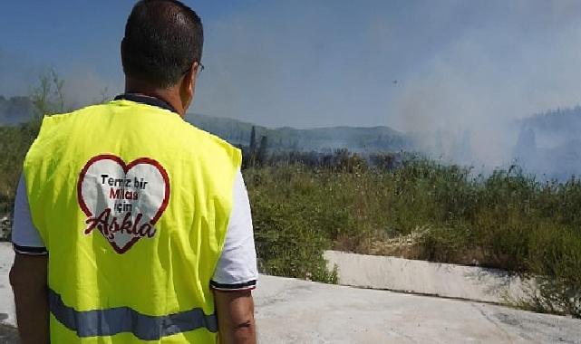 Milas'taki yangına canhıraş mücadele sürüyor