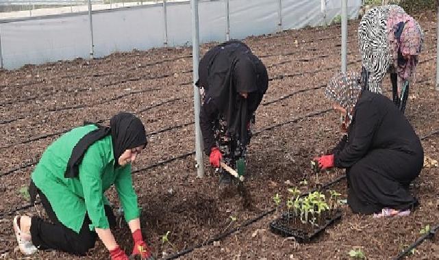 Kocaeli Büyükşehir'den kadın girişimcilere tarımsal destek