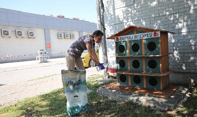 Bayraklı'da can dostlar için 'bir kap su' kampanyası