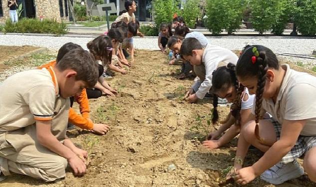 Efes Selçuklu Çocuklar Fideleri Toprakla Buluşturuyor