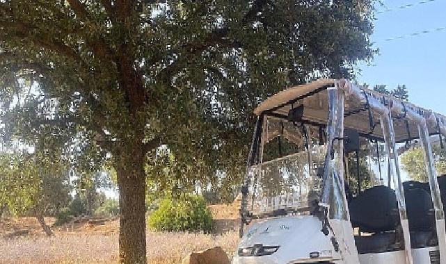 Olivelo Yaşayan Park'ta safari turları yarın başlıyor