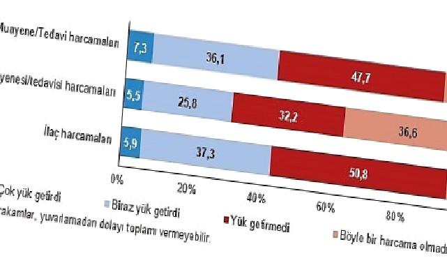 Muayene ve tedavi harcamaları hanelerin yüzde 7,3'üne çok yük getirdi