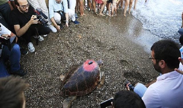 Lara Barut Collection'ın destekleri ile denizle buluşan Caretta Caretta, bir yılda 3000 km yol katetti