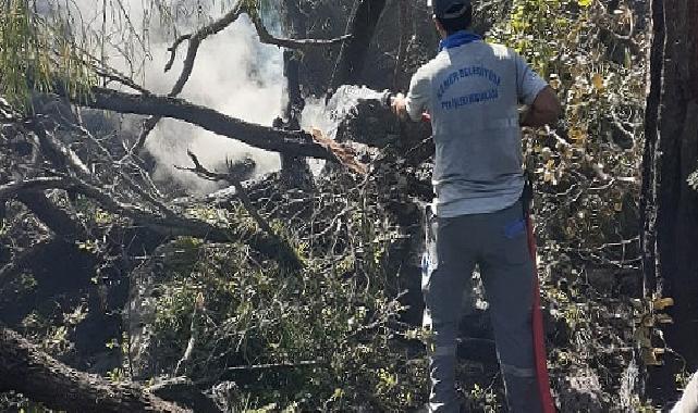 Kemer'deki orman yangınına müdahale sürüyor